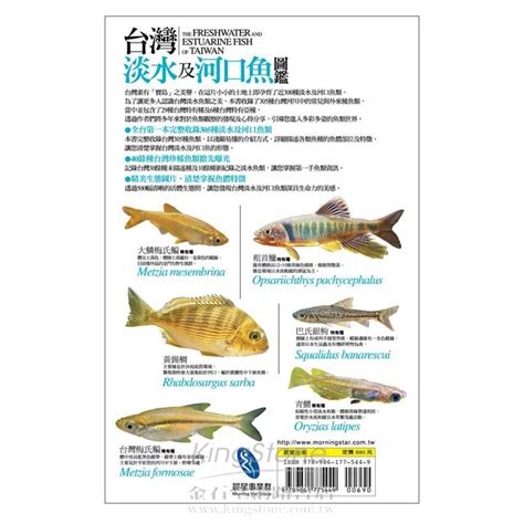 圖中有幾條魚|台灣淡水魚類列表